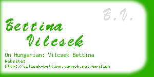 bettina vilcsek business card